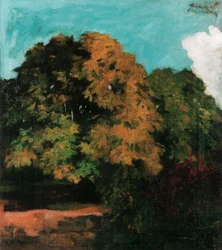 Chestnut Trees in Nagybanya